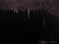 Harrison&rsquo;s Cave.