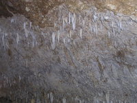 Harrison&rsquo;s Cave.