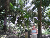 Near Harrison&rsquo;s Cave.