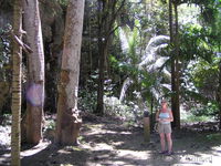 Near Harrison&rsquo;s Cave.