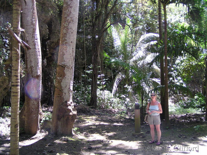 Near Harrison&rsquo;s Cave.