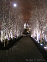St. Paul&rsquo;s Cathedral seen from outside the Tate Modern