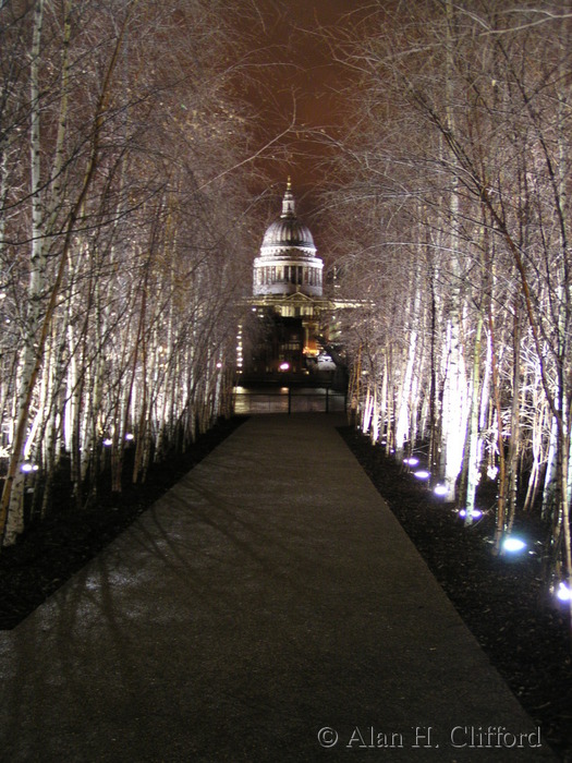 St. Paul&rsquo;s Cathedral seen from outside the Tate Modern