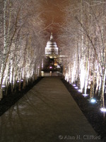 St. Paul&rsquo;s Cathedral seen from outside the Tate Modern