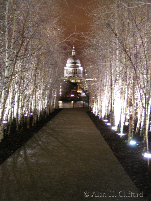 St. Paul&rsquo;s Cathedral seen from outside the Tate Modern