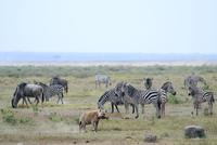 It&rsquo;s OK, he&rsquo;s got lunch