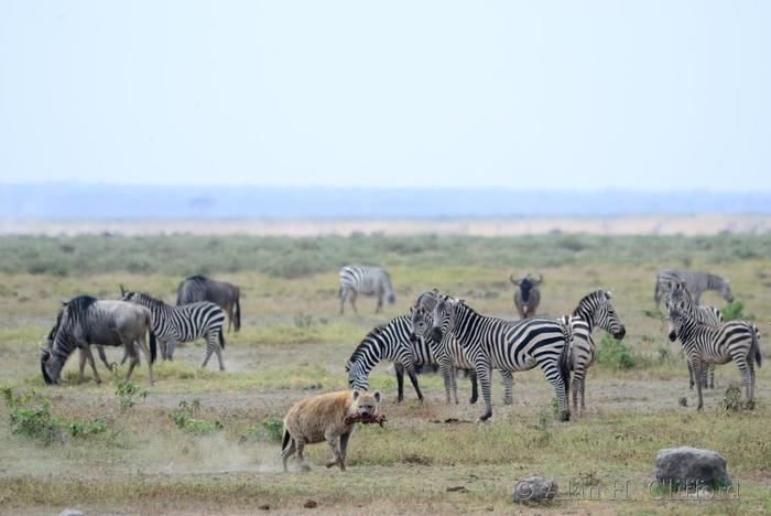 It&rsquo;s OK, he&rsquo;s got lunch