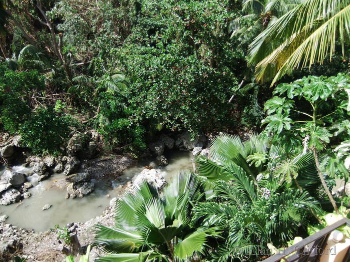 Joe&rsquo;s River behind the New Edgewater Hotel