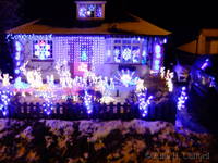 The garden at Ferret&rsquo;s End