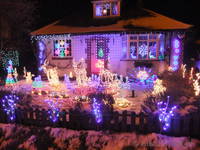 The garden at Ferret&rsquo;s End