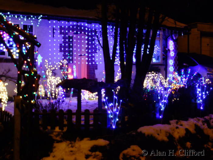 The garden at Ferret&rsquo;s End