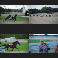 Trotters at Flamboro Downs