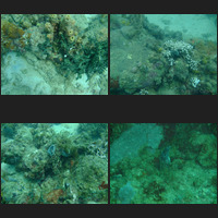 Scuba - Pigeon Island