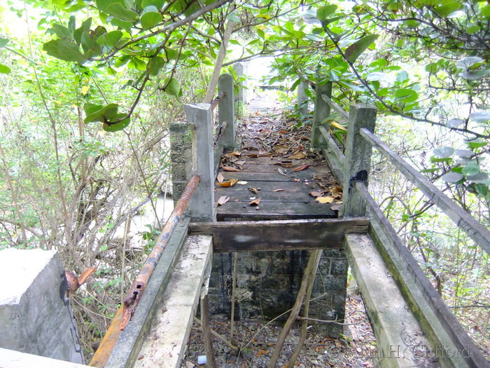 Joe&rsquo;s River Bridge