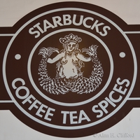 Starbucks&rsquo; siren