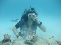 Benj on the &rsquo;phone