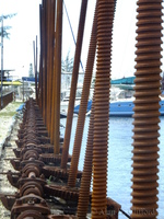 Blackwood&rsquo;s Screw Dock