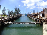 Blackwood&rsquo;s Screw Dock