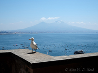 Vesuvius viewed from Castel dell&rsquo;Ovo