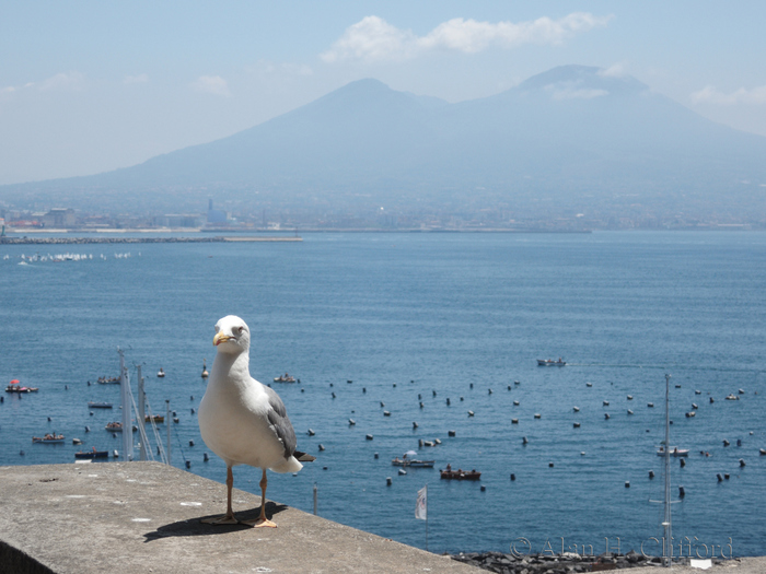 Vesuvius viewed from Castel dell&rsquo;Ovo