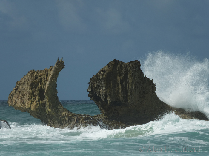 Sea stacks near Joe&rsquo;s River