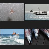 A selection of Alan Clifford&rsquo;s photographs